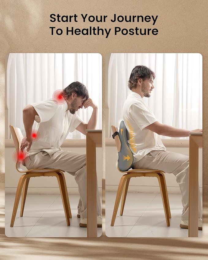 ProtoArc Lumbar Support Pillow for Office Chair, Memory Foam Back Support Pillow for Lower Back Fatigue Relief, Lumbar Cushion Desk Chair Back Cushion, Ergonomic Back Rest for Chair, Car - Gray