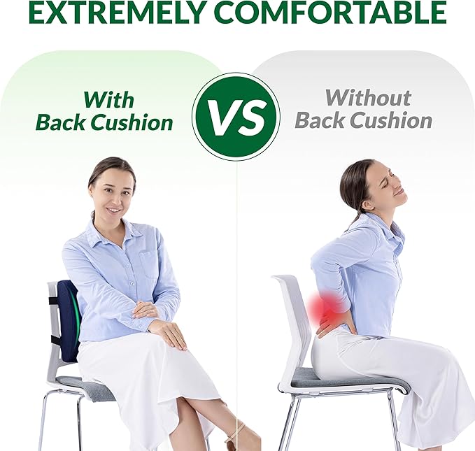 Back Support Pillow for Office Chair and Car Seat,Lumbar Support for Office,Charcoal Memory Foam Back Cushion-Breathable Mesh Cover,Double Adjustable Straps,Dark Blue