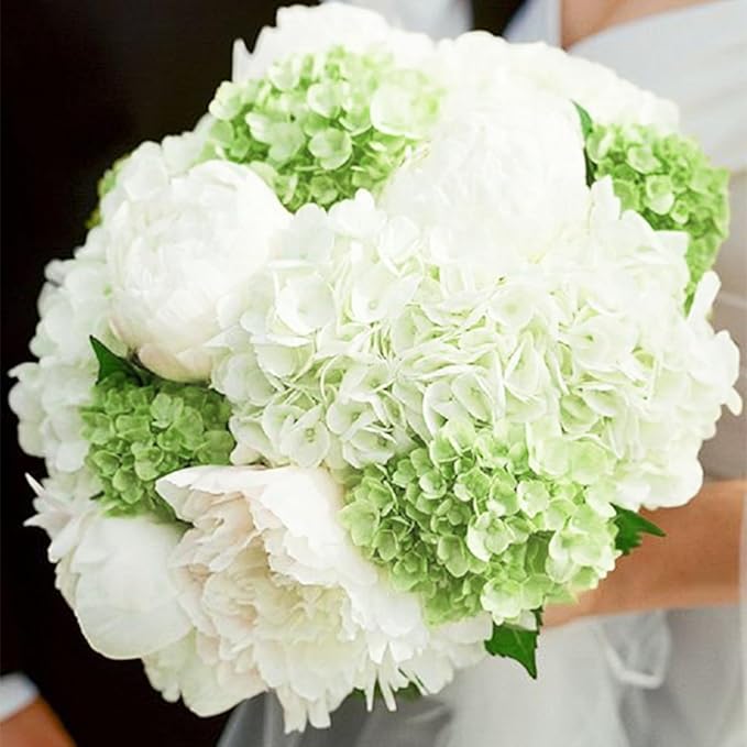Light Green Hydrangea Artificial Flowers 3pcs Lifelike Faux Hydrangea Real Touch Fake Flowers for Home Wedding Office Party Living Room Decoration,22inch