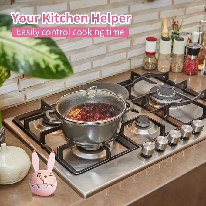 Mechanical Kitchen Timer, Cute Wind Up 60-Minute Manual Countdown for Kids, Classroom, Home, Study and Cooking