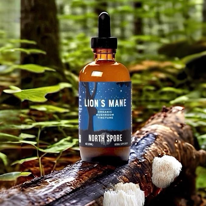 North Spore Organic Lion's Mane Mushroom Tincture (2 oz) | 100% Fruiting Body Extracts | for Focus, Memory, Brain Support | Certified Organic, Vegan, Non-GMO | Adaptogenic, Nootropic | Made in USA