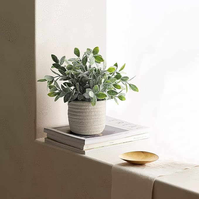 Hopewood Faux Plants, Small Fake Plant for Bathroom, Decorative Artificial Plants for Farmhouse Desk Shelf Decor with A Weave Basket (9.8inch)