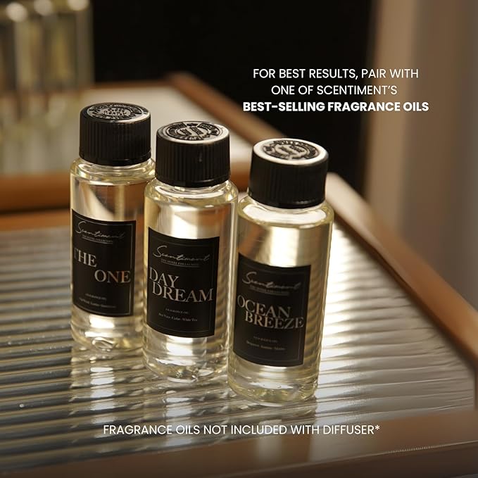 Diffuser Air 2 - Cold-Air Diffusion | Covers 1,000 Sq Ft | No Heat, No Water | Safe for Pets & Kids | Rechargeable Battery | WiFi & Bluetooth | Interchangeable Motor | Silver