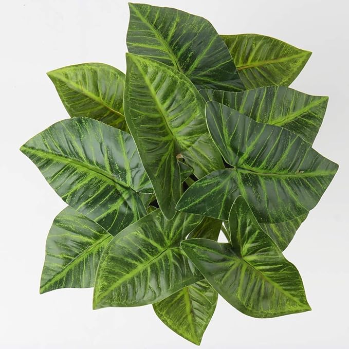 Briful 2 PCS Artificial Potted Alocasia Begonia Calathea Plants Mini Fake Plants in Plastic Pot Small Greenery Faux Plants Indoor for Home Office Desk Room Table Bathroom Bedroom Decorations
