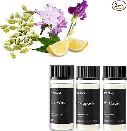 My Way Hotel Diffuser Oil | Aromatherapy Fragrances Inspired by 5-Star Hotels | Luxurious Scents Gift Box Set - 3 x 50ml Bottles Set - The 1 Hotel Miami Beach, W Magic, The Ritz Carlton