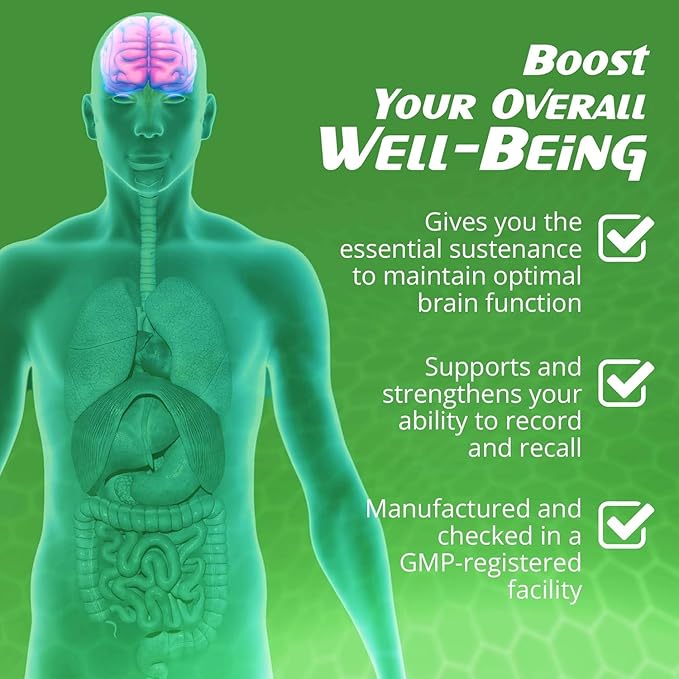 Ginkgo Biloba Support Brain Function, Supplements for Memory and Focus, Natural Antioxidant-Rich, Promotes Overall Health, 120 Vegetarian Capsules, GMP, 120 Count (Pack of 3)