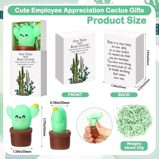 Wettarn 24 Sets Cactus Positive Gifts Cute Stress Balls with Support Gift Boxes Bulk Inspirational Party Favors for Employee Coworker Friends Office Relief Toys Funny Desk Decor