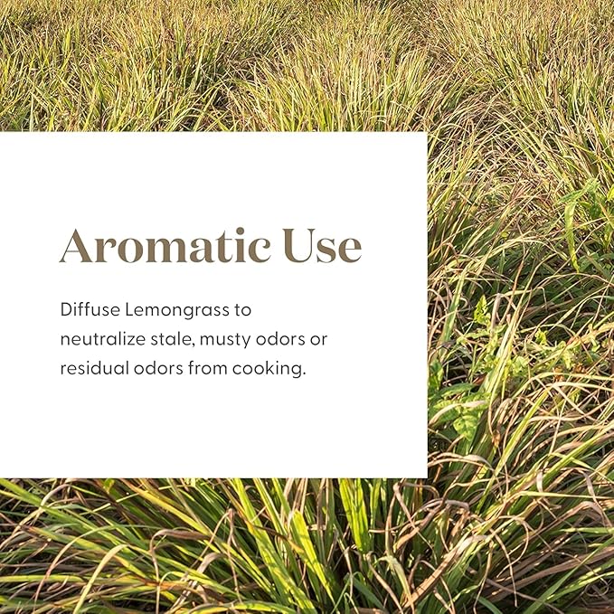 Lemongrass Essential Oil by Young Living, 15 Milliliters, Topical and Aromatic