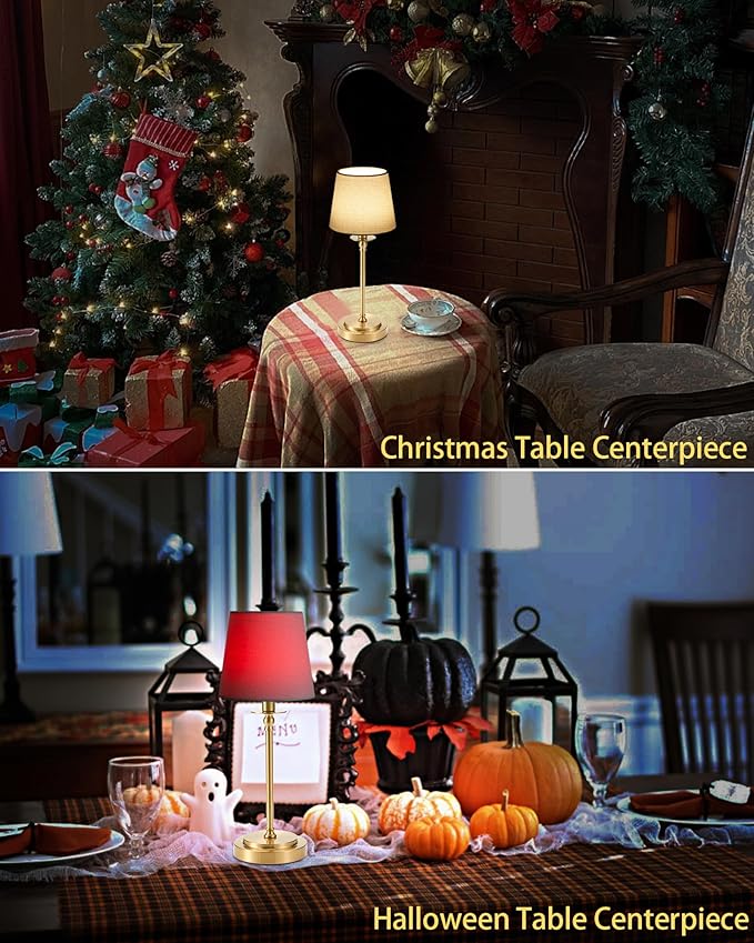 Egobasic Cordless Rechargeable Table Lamp with Remote, Small Portable Battery Operated Lamp with Timer, 12 RGB Lighting Dim, Restaurant Dining Bed Side Table Night Lights, Fabric Shade, Antique Brass