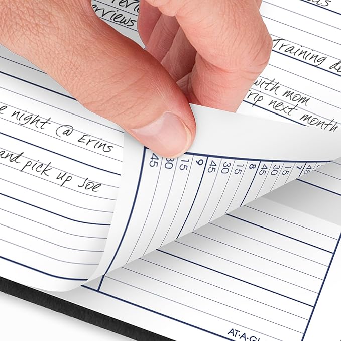 AT-A-GLANCE 2026 Appointment Book Planner, Weekly, 8" x 11", Large, Quarter-Hourly, DayMinder, Black (G5200026)