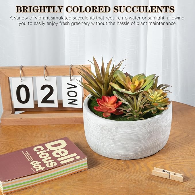 Artificial Succulent Plants Potted Indoor with Ceramic Pot - Fake Low Maintenance Plants for Bedroom, Bathroom, Coffee Table Decor - Home Office Desk & Room Aesthetics