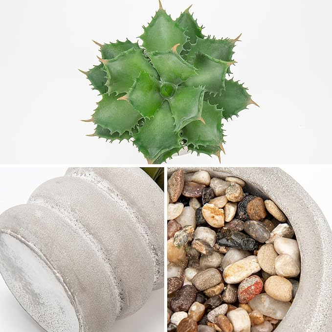 Fake Plants Succulents Artificial Agave Succulent Plants Faux Aloe Potted Plant in White Glaze Ceramic Pot for Desk Modern Office Living Room Table Shelf Bathroom Home Indoor Outdoor Decor