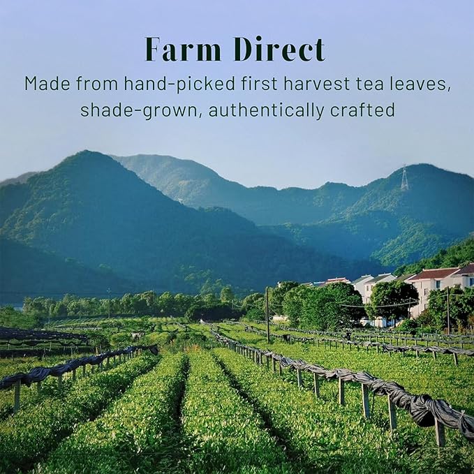 CHAYEAH, Jade Select Matcha – Organic Ceremonial Grade Matcha Green Tea Powder for Lattes & Everyday Matcha, First Harvest (1.06 oz Tin)