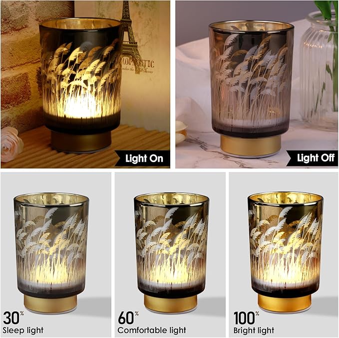 Eywamage Small Battery Operated Table Lamp with Remote, Pampas Cordless Glass Accent Lamp Lights for Bedroom Kitchen Living Room