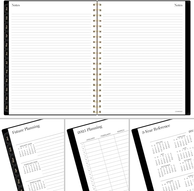 Cambridge 2025 Planner, Weekly & Monthly, 8-1/2" x 11", Large, Radiate (1725-905-25)