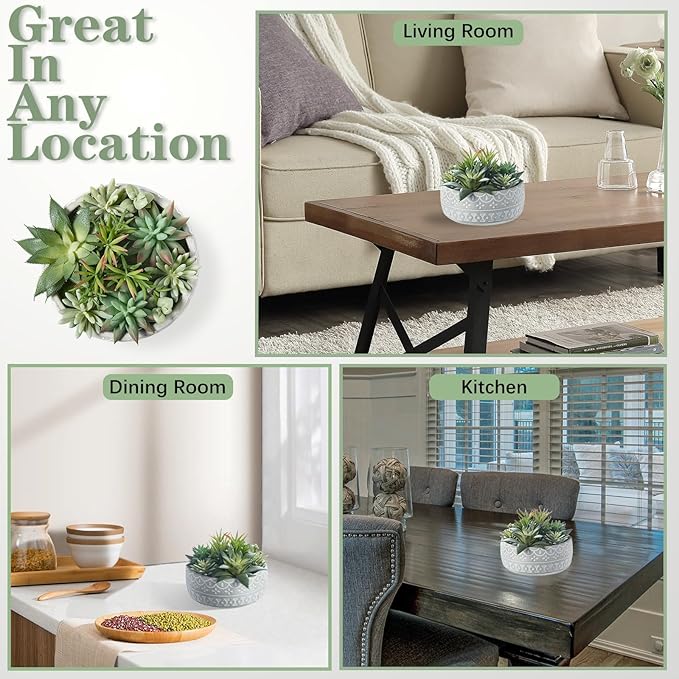 Artificial Succulent Plants Faux Potted Indoor with Ceramic Pot - Fake Plants for Bedroom, Bathroom, Home Office, Coffee Table Decor - Desk & Room Aesthetics