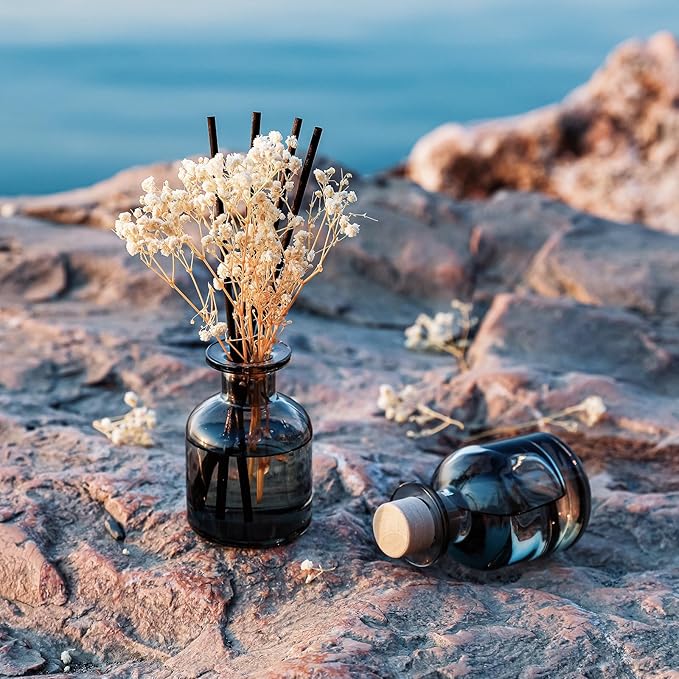 Brakula 2 Pack Reed Diffuser, Eucalyptus & Wild Mint + Lavender Eucalyptus (3.38 fl oz Each Pack), Home Fragrance with 12 Sticks, Shelf Decor, Reed diffusers for Home