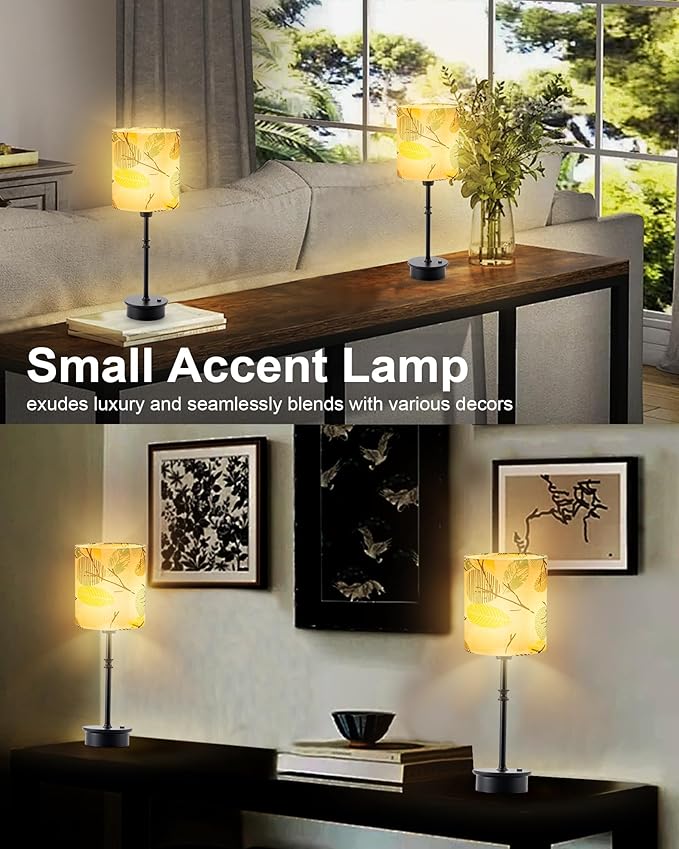 UMEXUS Cordless Table Lamp for Bedroom, Rechargeable Battery Operated Lights, Dimmable Touch Bedside Night Light Lamp for Nightstand Living Room Side End Table Outdoor Patio Home Decor