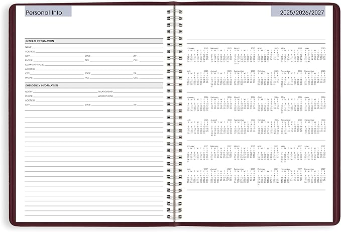 AT-A-GLANCE 2026 Appointment Book Planner, Weekly, 8" x 11", Large, Quarter-Hourly, DayMinder, Burgundy (G5201426)