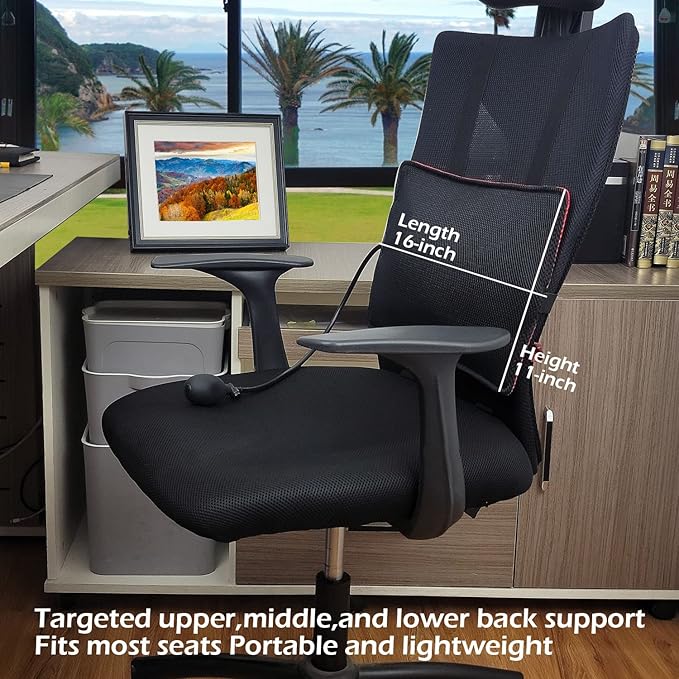 Inflatable Lumbar Support Pillow for Office Chair and Car Seat, Back Support Cushion with Air Pump for Reducing Lower Back Pain