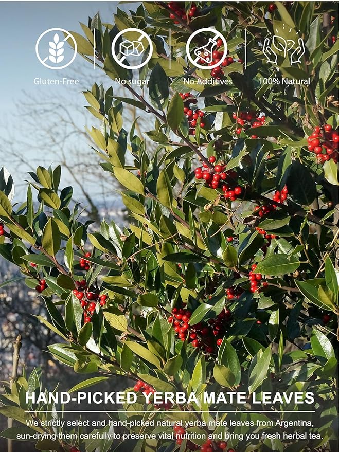 TeeLux Yerba Mate Tea Bags, Unsmoked Yerba Mate Tea, Rich in Antioxidant, Refreshing & Smooth Taste, Hot & Iced Tea, 100 Count