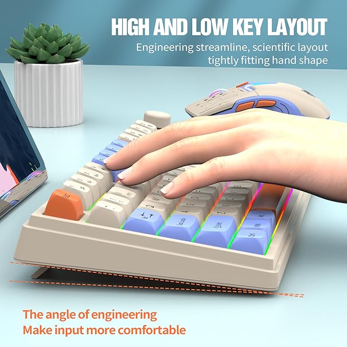 75% Wireless Gaming Keyboard and Mouse Combination, with Rechargeable Battery, Glowing Mechanical Feel Keyboard, Ergonomic RGB Optical Mouse, for Gaming/Business (Polar Day)