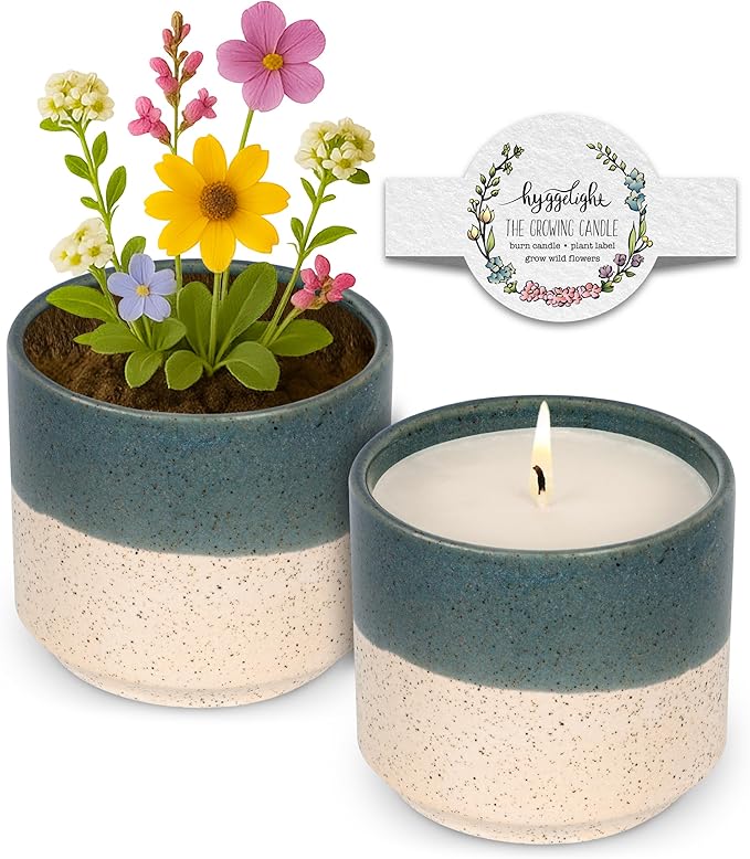 The Growing Candle, Wild Flower Scented, 8.5oz Ceramic Pot, Single Wick Aromatherapy Candles, 100% Soy for Women and Men, Willow