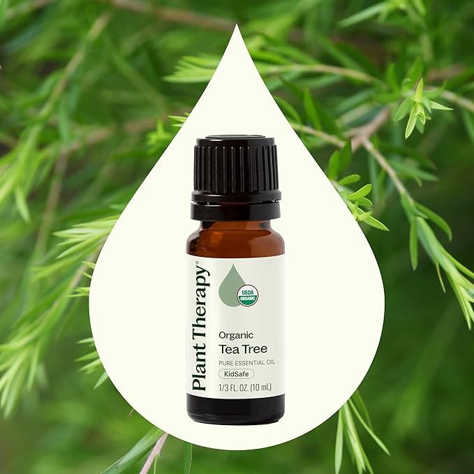Plant Therapy Organic Tea Tree Oil (Melaleuca) 100% Pure, USDA Certified Organic, Undiluted, Natural Aromatherapy for Skin, Hair, and Toenails, Therapeutic Grade 10 mL (1/3 oz)
