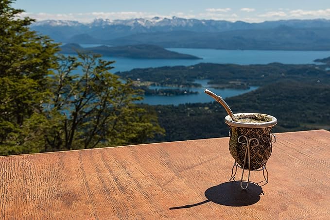 Yerba Mate Tea 1LB (16Oz) HI-CAFFEINE 100% CERTIFIED Organic SUPER-GREEN Yerba Mate | NO Dust | FRESH - NEVER Aged (Ilex Paraguariensis) | Brazilian Rain Forest Grown from U.S. Wellness Naturals