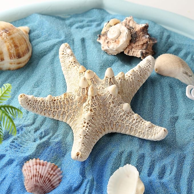 Desktop Zen Garden Kit - Ocean Themed Decor Sand, Natural Shells Starfish Conch, Mermaid Resin Summer Beach Desktop Decorations, Office Desktop Decoration Gift (Blue)