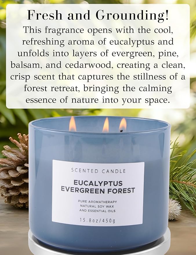 Eucalyptus Evergreen Forest 3 Wick Scented Candle | Luxury Soy Candles for Home | Relaxing Aromatherapy Stress Relief Candle 15.8 oz | Clean Burn Long Lasting Balsam Fir Woods Candles for Men & Women