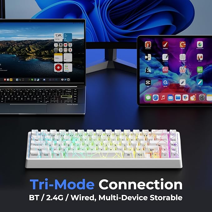 x XVX M67 Wireless 60% Percent Keyboard, QMK/VIA Topographic Gaming Keyboard, Tri-Mode Thocky Creamy Mechanical Key board, Hot Swappable Gasket Mount RGB IMD Tech for Win/Mac, Spider Web Theme, White