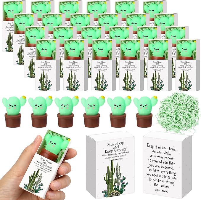 Wettarn 24 Sets Cactus Positive Gifts Cute Stress Balls with Support Gift Boxes Bulk Inspirational Party Favors for Employee Coworker Friends Office Relief Toys Funny Desk Decor