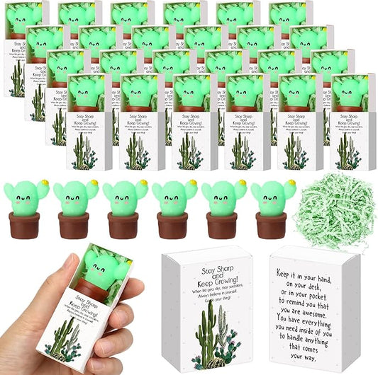 Wettarn 24 Sets Cactus Positive Gifts Cute Stress Balls with Support Gift Boxes Bulk Inspirational Party Favors for Employee Coworker Friends Office Relief Toys Funny Desk Decor