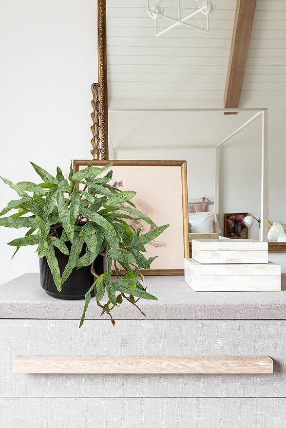 Briful Faux Plants Indoor 9'' Artificial Potted House Plant with Black Ceramic Pot Fake Pteris Cretica Fern Plant for Home Office Room Desk Shelf Decor Indoor