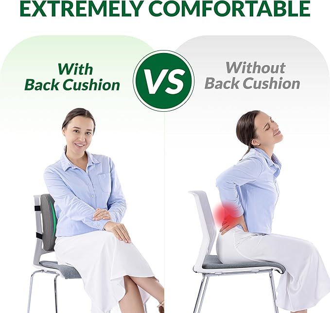 Lumbar Support Pillow for Office Chair and Car,Back Support for Office Chair,Charcoal Memory Foam Back Cushion with Breathable Mesh Cover,Double Adjustable Straps,Grey