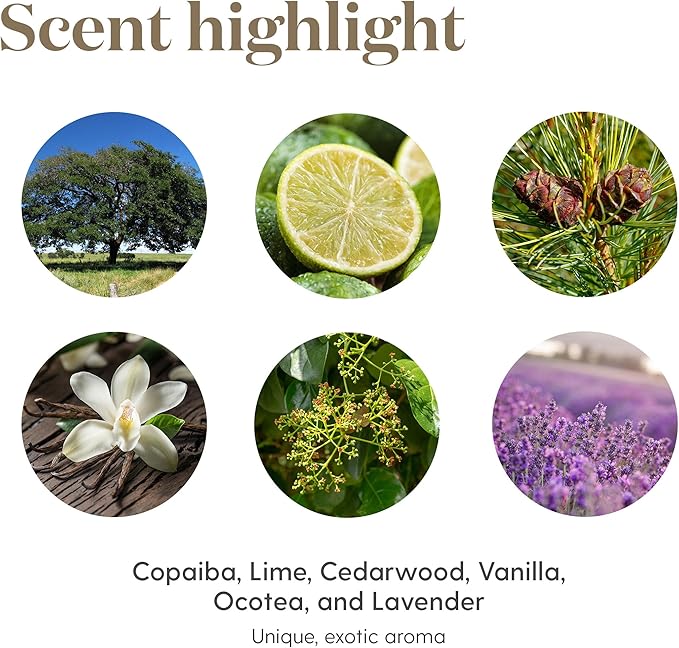 Young Living Stress Away™ Essential Oil Roll-On | 10 ml | Calming Aromatherapy Blend