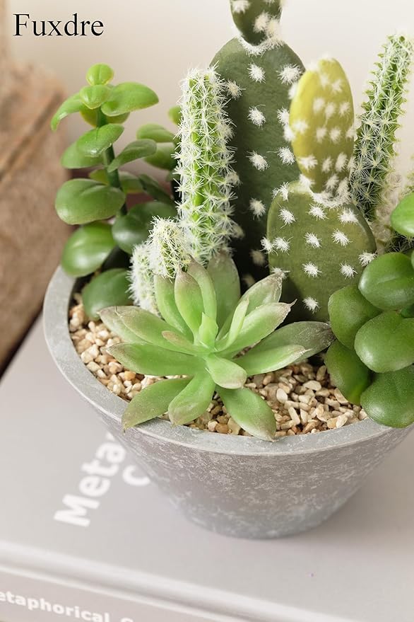 2-Pack Artificial Succulent Plants in Vintage Plastic Pots - Waterproof Fake Plants Decor for Home Office Desk - Low Maintenance Indoor Greenery for Bathroom, Shelf & Table