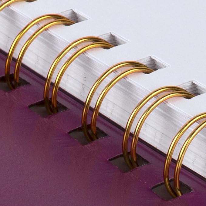 AT-A-GLANCE 2026 Appointment Book Planner, Weekly & Monthly, 8.25" x 11", Large, Half-Hourly, Contemporary, Purple (70940X1426)