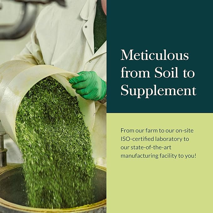 Gaia Herbs Lion’s Mane Mushroom - Brain & Nerve Health Support - 40 Vegan Capsules