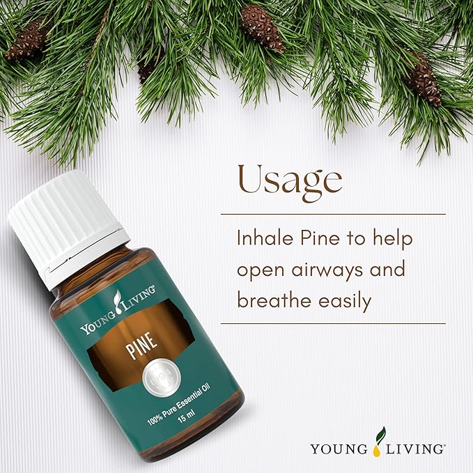 Young Living Pine Essential Oil | 15 ml | Fresh, Woodsy Aroma for DIY Cleaning, Aromatherapy Diffusion, Massage, Meditation, Topical Use (Dilution Required)