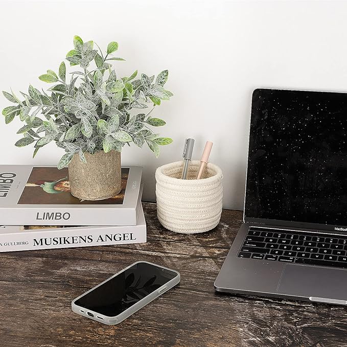 Hopewood Faux Plants, Small Fake Plant for Bathroom, Decorative Artificial Plants for Farmhouse Desk Shelf Decor with A Weave Basket (9.8inch)