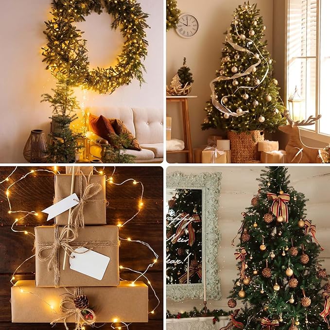 2Pack Each 33Ft 100 LED Fairy Lights Plug in with Remote, Waterproof String Lights Outdoor & Indoor, String Lights 8 Modes with Timer, Twinkle Light for Girl's Room Christmas Decorations (Warm White)