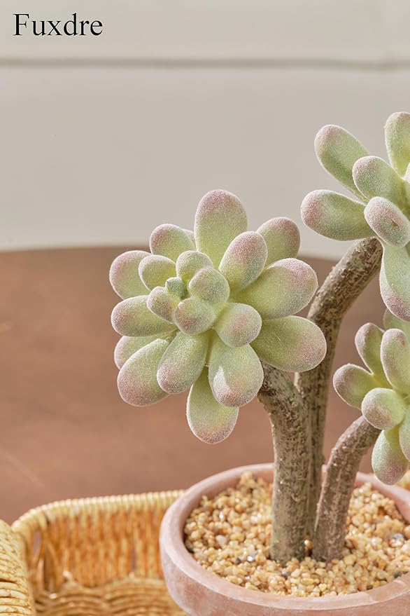 2-Pack Artificial Succulent Plants in Vintage Plastic Pots - Waterproof Fake Succulents Decor for Home, Office, Desk - Low Maintenance Indoor Plants for Bathroom, Shelf, Table Decor