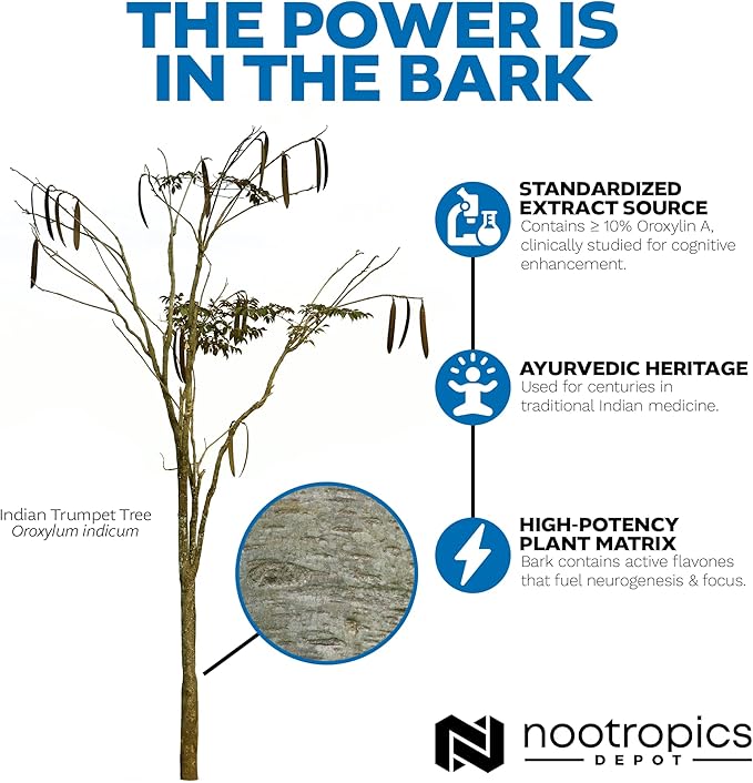 Nootropics Depot Sabroxy® Tablets | 500mg | 30 Count | Minimum 10% Oroxylin-A | Oroxylum indicum | May Help Promote Focus & Motivation | May Help Promote Cognitive Function