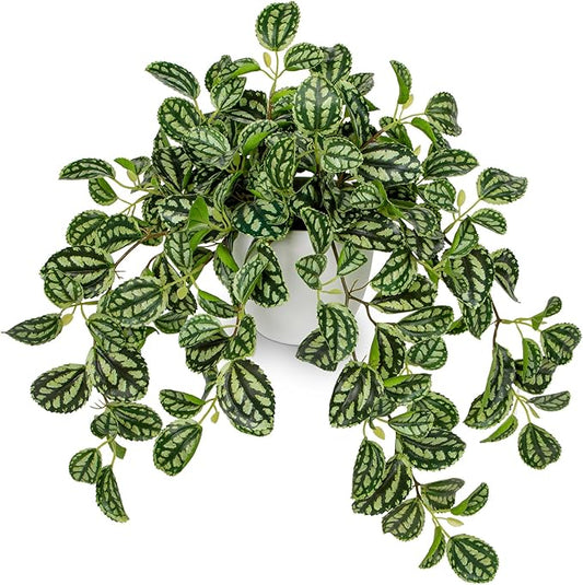Briful Fake Plants Indoor Artificial Potted Silk Plants Faux Watermelon Peperomia Trailing Vine Plant for Home Office Livingroom Desk Shelf Mantle Decoration(Green/White - 1 Pack)
