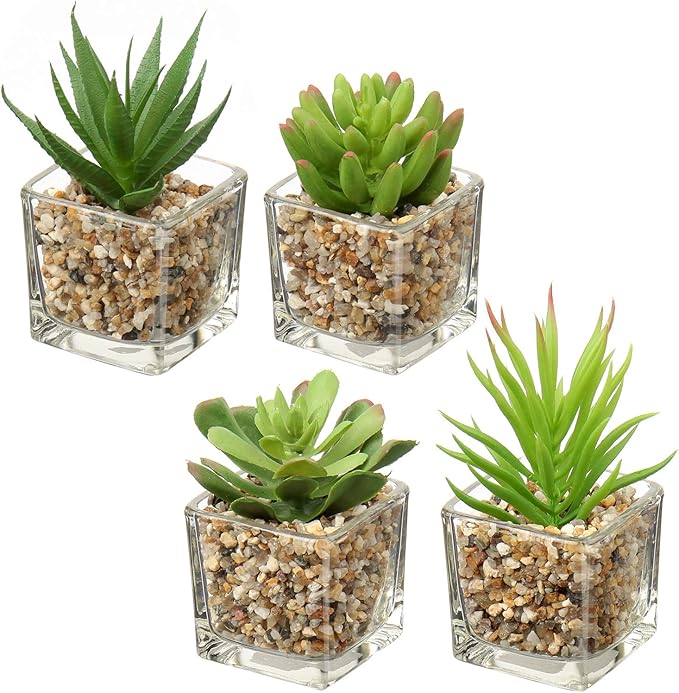 Briful Set of 4 Succulents Plants Artificial in Clear Glass Pots Small Fake Succulents Plants Mini Faux Plants Indoor for Window Sill Office Table Desk Shelf Bathroom Decor