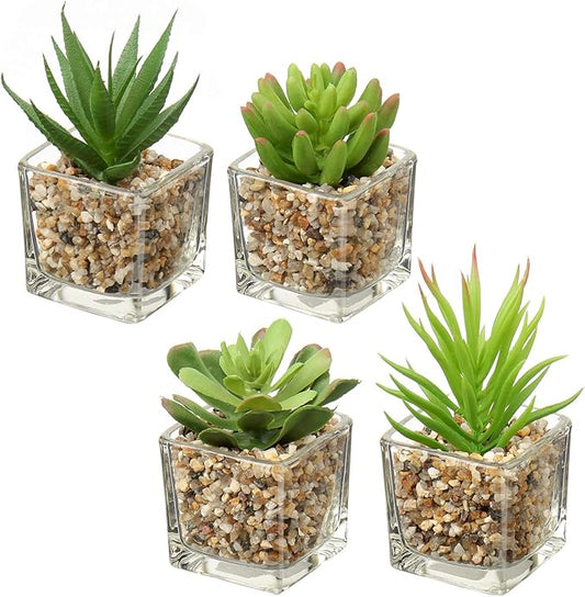 Briful Set of 4 Succulents Plants Artificial in Clear Glass Pots Small Fake Succulents Plants Mini Faux Plants Indoor for Window Sill Office Table Desk Shelf Bathroom Decor