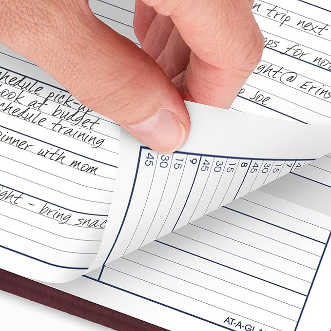 AT-A-GLANCE 2026 Appointment Book Planner, Weekly, 8" x 11", Large, Quarter-Hourly, DayMinder, Burgundy (G5201426)