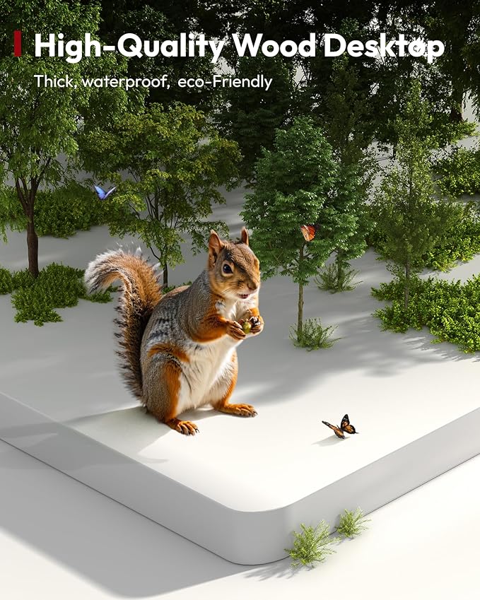 SANODESK Electric Standing Desk 48 x 24 Inches Whole-Piece Desktop Height Adjustable Stand Up Desk w/6-Button Controller Ergonomic Computer Desk for Home Office, White Frame + White Tabletop